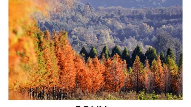 场地相册封面