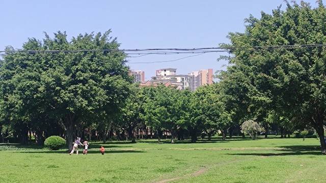 场地相册封面