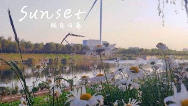 场地相册封面