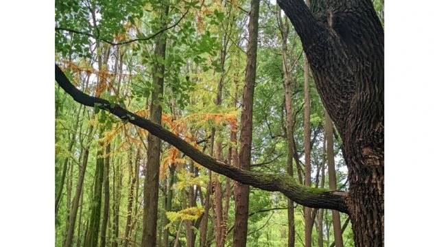 场地相册封面