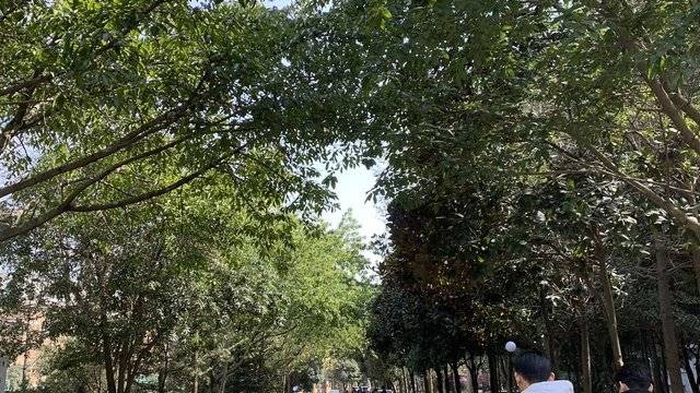 场地相册封面
