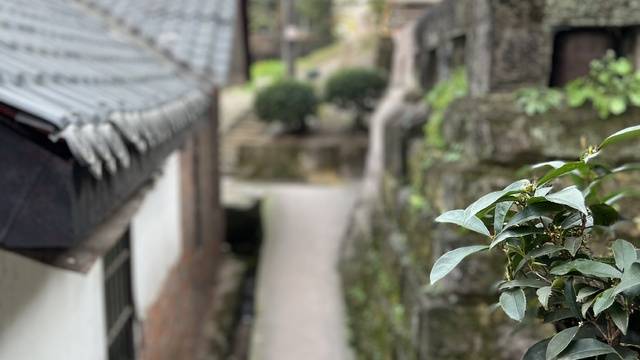 场地相册封面