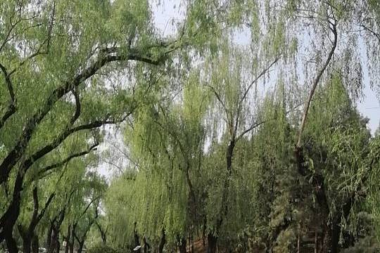 场地相册封面