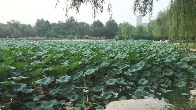 场地相册封面
