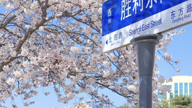 场地相册封面