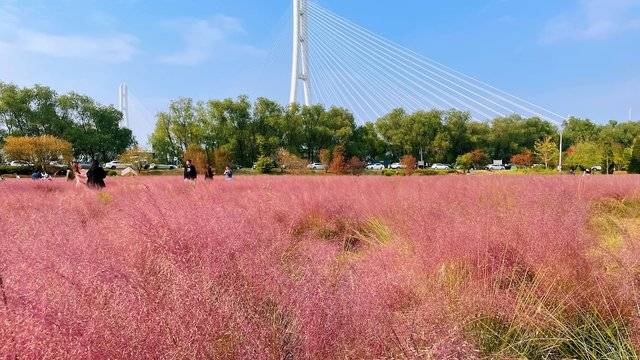 场地相册封面