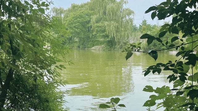 场地相册封面