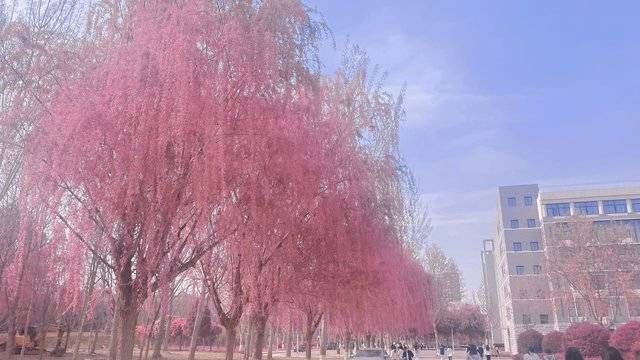 场地相册封面