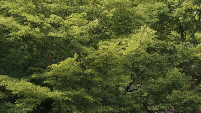 场地相册封面