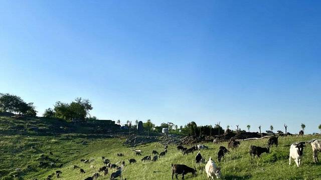 场地相册封面