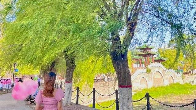 场地相册封面