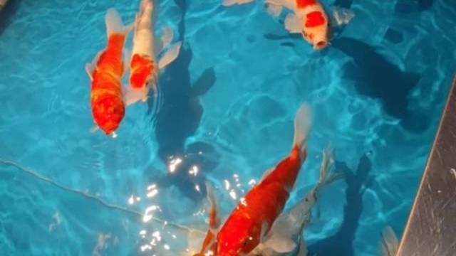 场地相册封面
