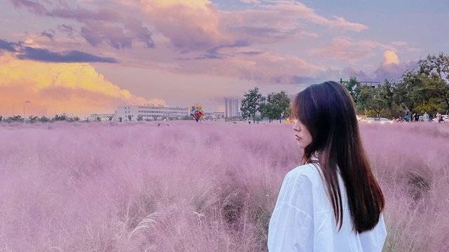 场地相册封面