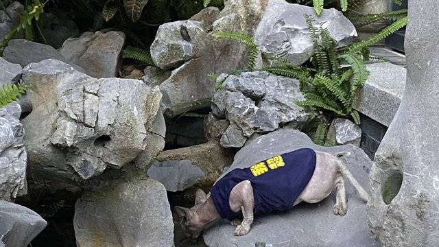 场地相册封面