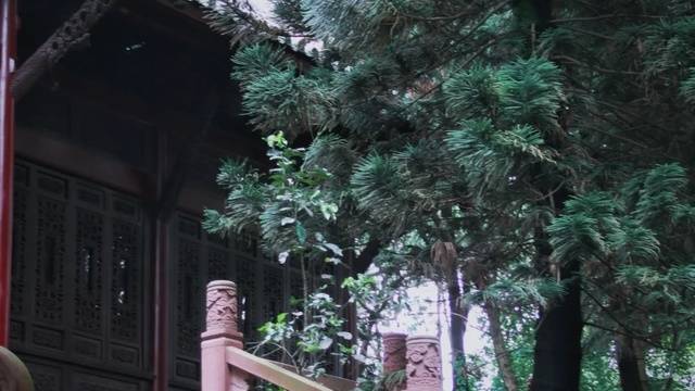 场地相册封面