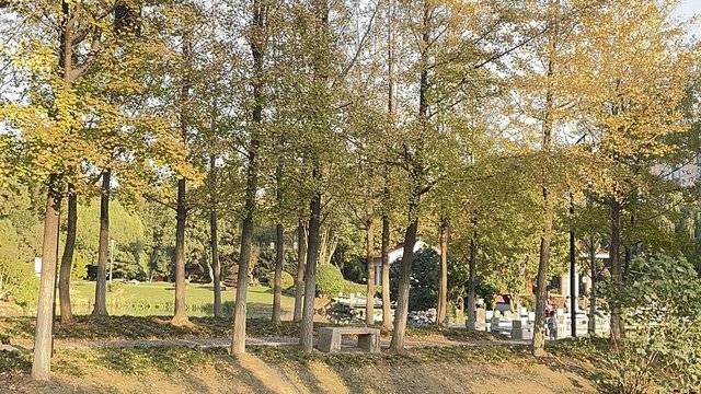 场地相册封面
