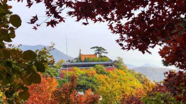 场地相册封面