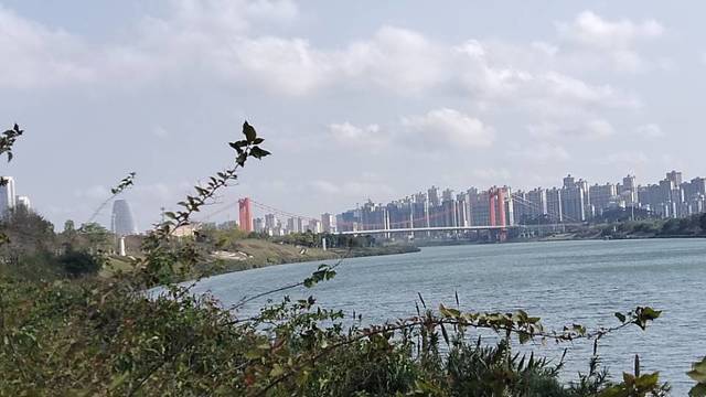 场地相册封面