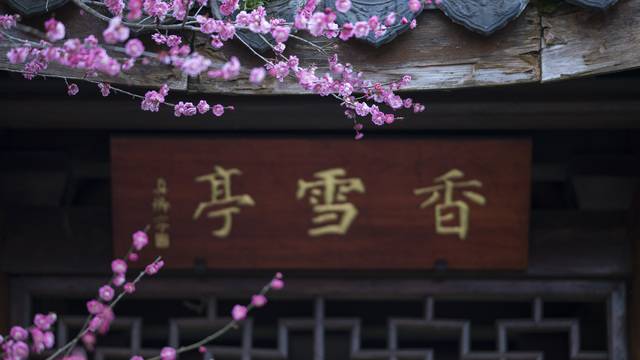 场地相册封面