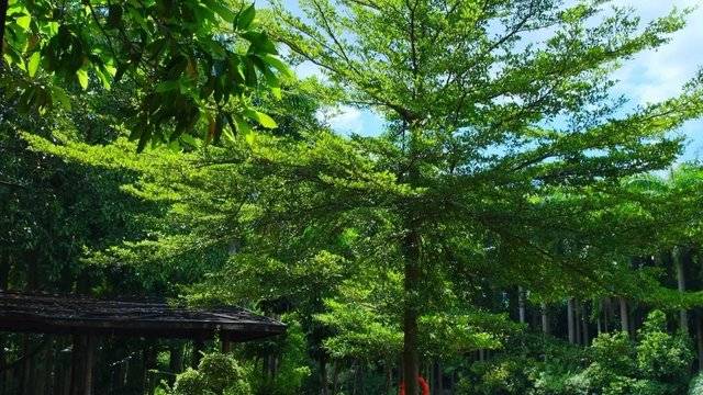 场地相册封面