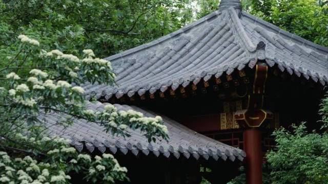 场地相册封面