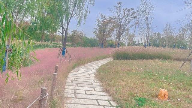 场地相册封面