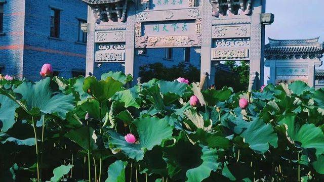场地相册封面