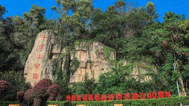 场地相册封面