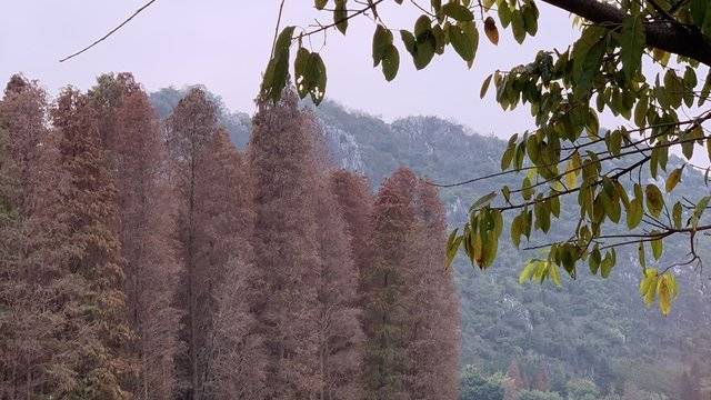 场地相册封面