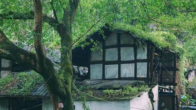 场地相册封面