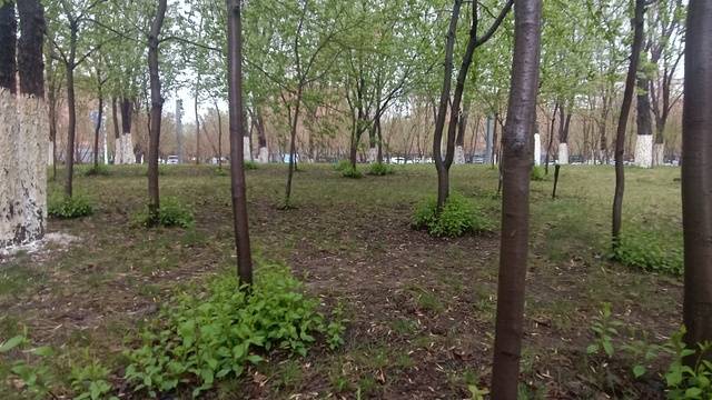 场地相册封面