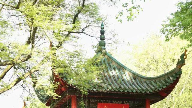 场地相册封面