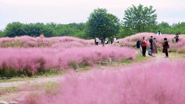 场地相册封面
