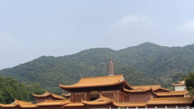 场地相册封面