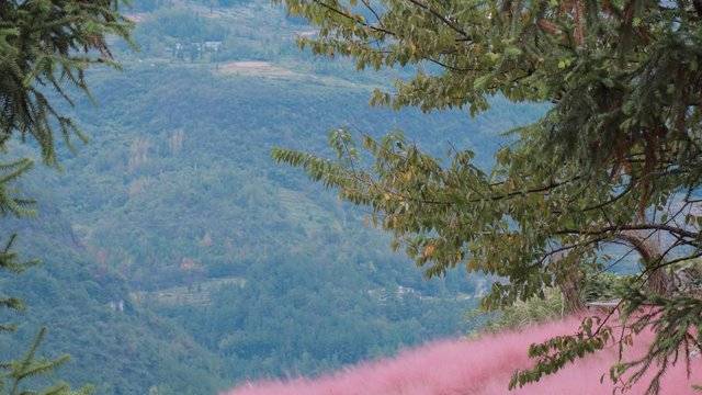 场地相册封面