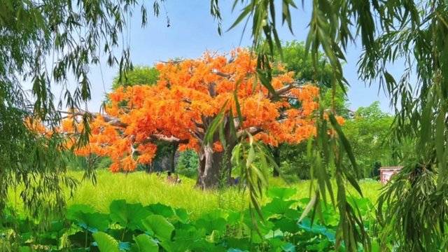 场地相册封面
