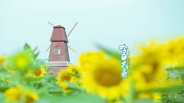 场地相册封面
