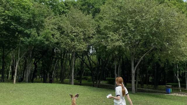 场地相册封面