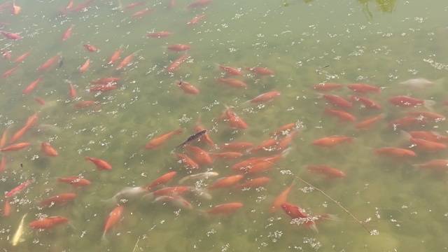 场地相册封面