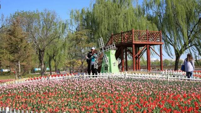 场地相册封面
