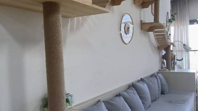 场地相册封面