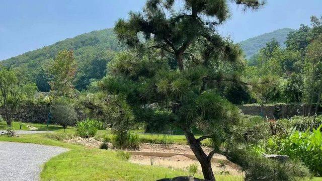 场地相册封面