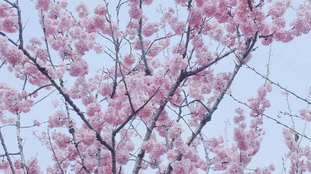 场地相册封面