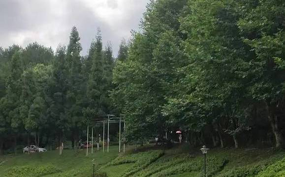 场地相册封面