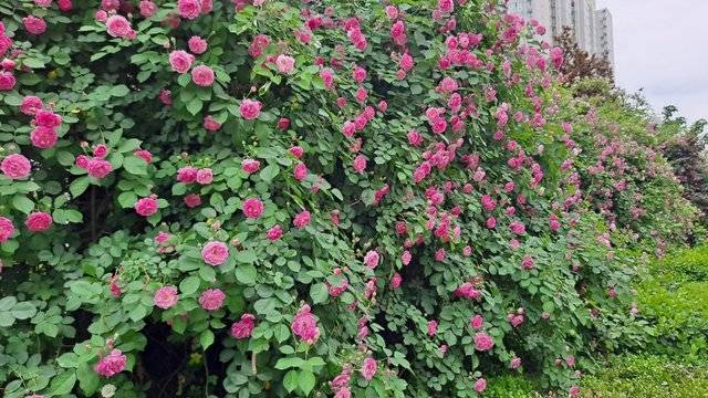 场地相册封面