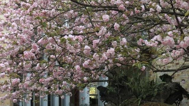 场地相册封面