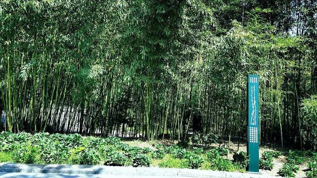场地相册封面