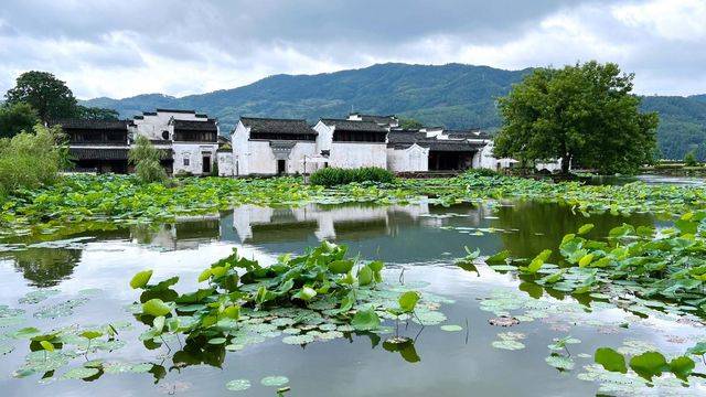 场地相册封面