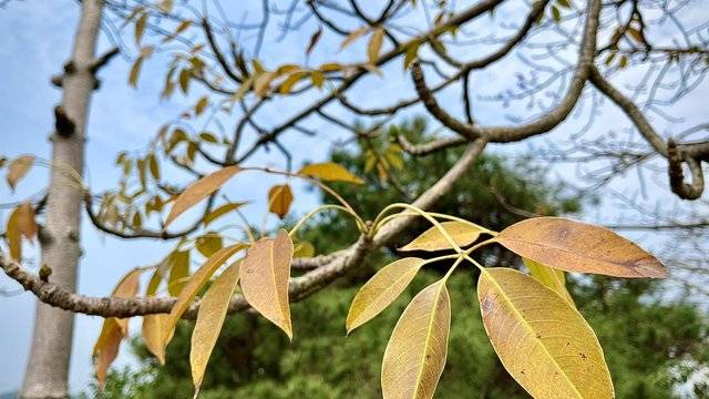 场地相册封面