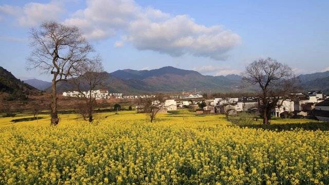 场地相册封面